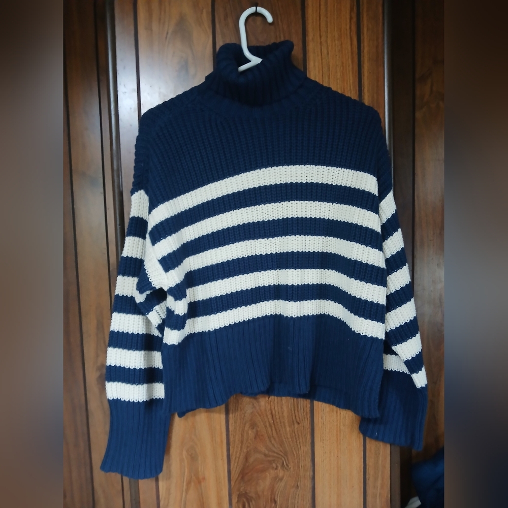 Madewell  Navy and Cream Striped Turtleneck Sweater